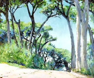 Stone Pines
