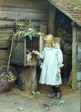 The Rabbit