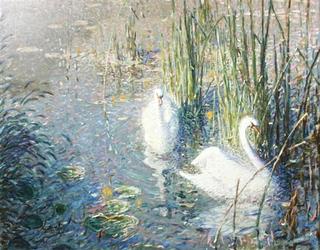 The Swans