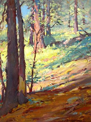 Sierra Solitude
