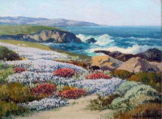 Wildflowers, Carmel Coast