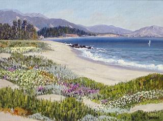 Santa Barbara Coast