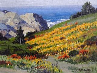 Carmel Coast