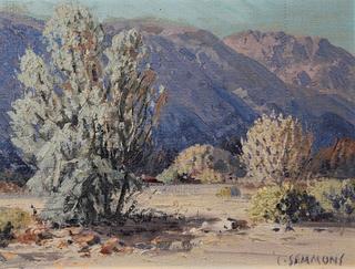 Smoke Trees, Dead Indian Canyon