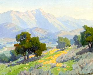 Wildflowers along a San Gabriel Hillside