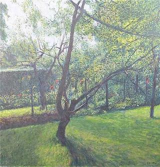 My Apple Tree