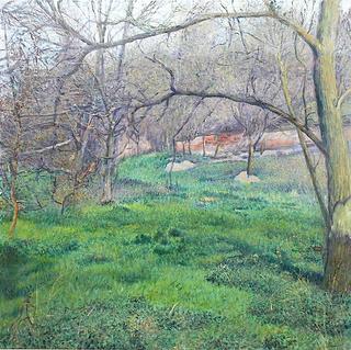 Meadow with Wall