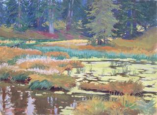 A Woodland Stream