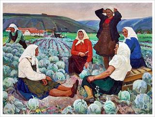Cabbage Field