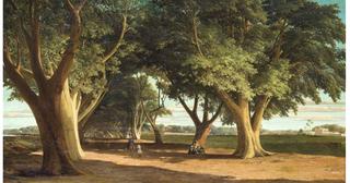 The road to Choubra, Cairo