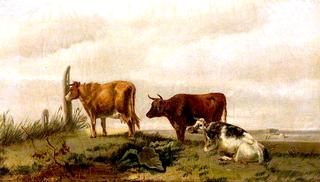 Three Cattle on Open Land