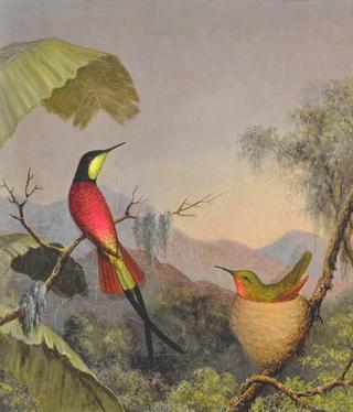 Crimson Topaz Hummingbird by Palm Leaves