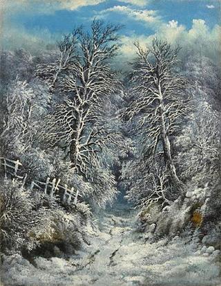 A Snow Covered Forest