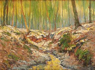Forest Ravine