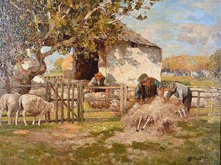 Sheep Shearing
