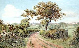 Old Pack Horse Road, near Prenton, Wirral