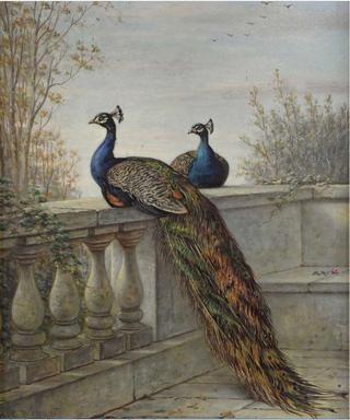 Two Peacocks