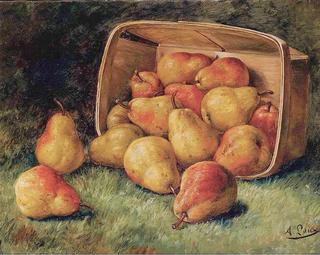 Pears Spilling from a Basket