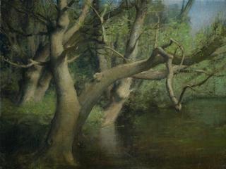 Ash Trees by the Pond