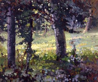 Sun Dappled Meadow