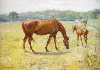 Horses in a Summer Landscape