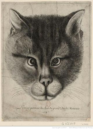 Portrait of a Cat of the Grand Duke of Moscow