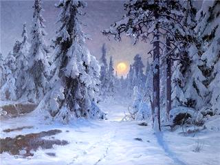 A Moonlit Night