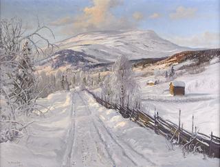 Winter Landscape in Areskutan