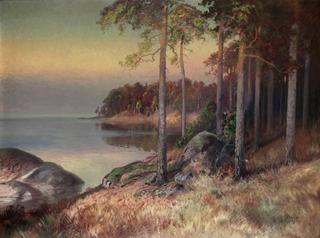Beach scene with pines