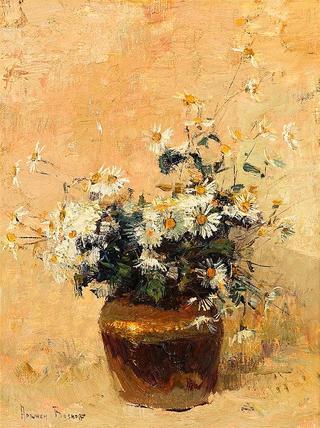 Still Life with Daisies
