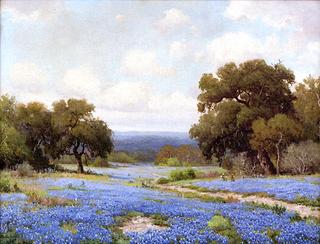 Trail through the Bluebonnets - Bandera, Texas