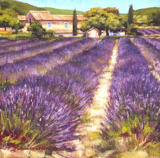 Little Lavender Square