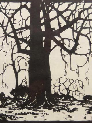 Willow in Winter