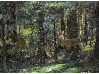 Deer in the Forest