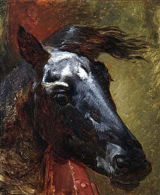 Head of a Horse