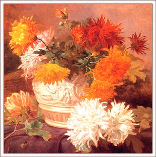 Chrysanthemums