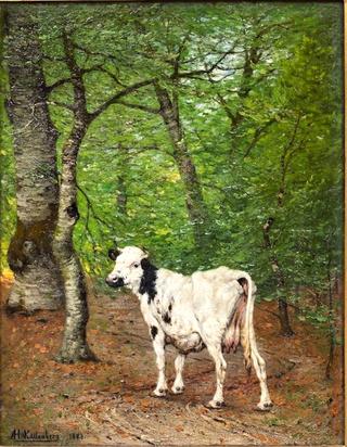 Cow in the Forest