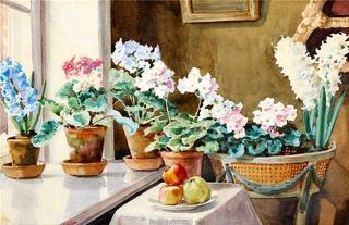 Flowers in a window sill