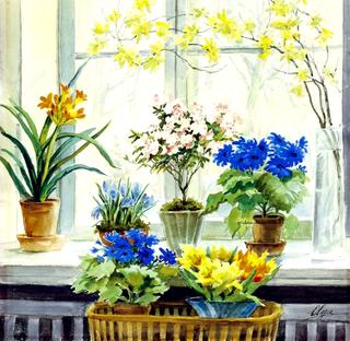 Flowers in a window sill