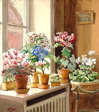 Flowers in a window sill