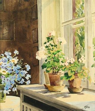 Flowers in a window sill