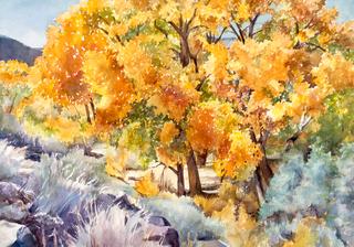 Bosque Gold