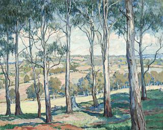 Through the Gum Trees, Toongabbies