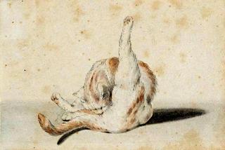 Cat's Toilet