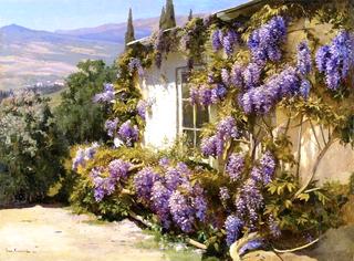 Wisteria