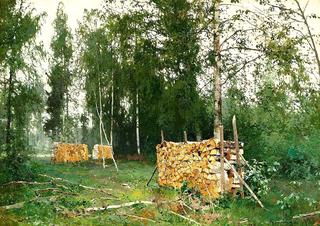 Birchwood in the Spring Forest