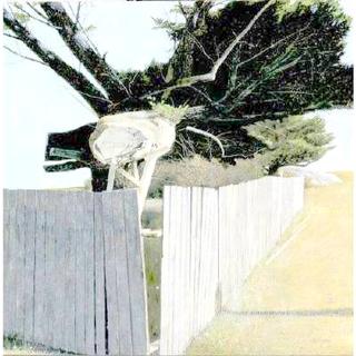Fence with Trees and Rock