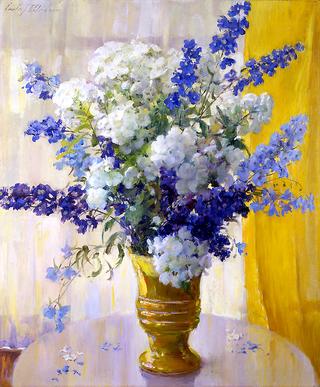 Phlox and Delphiniums