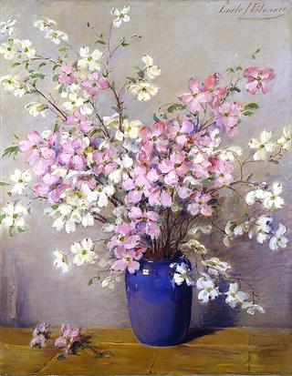 Dogwoods