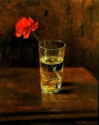 Red Carnation In A Glass Of Water